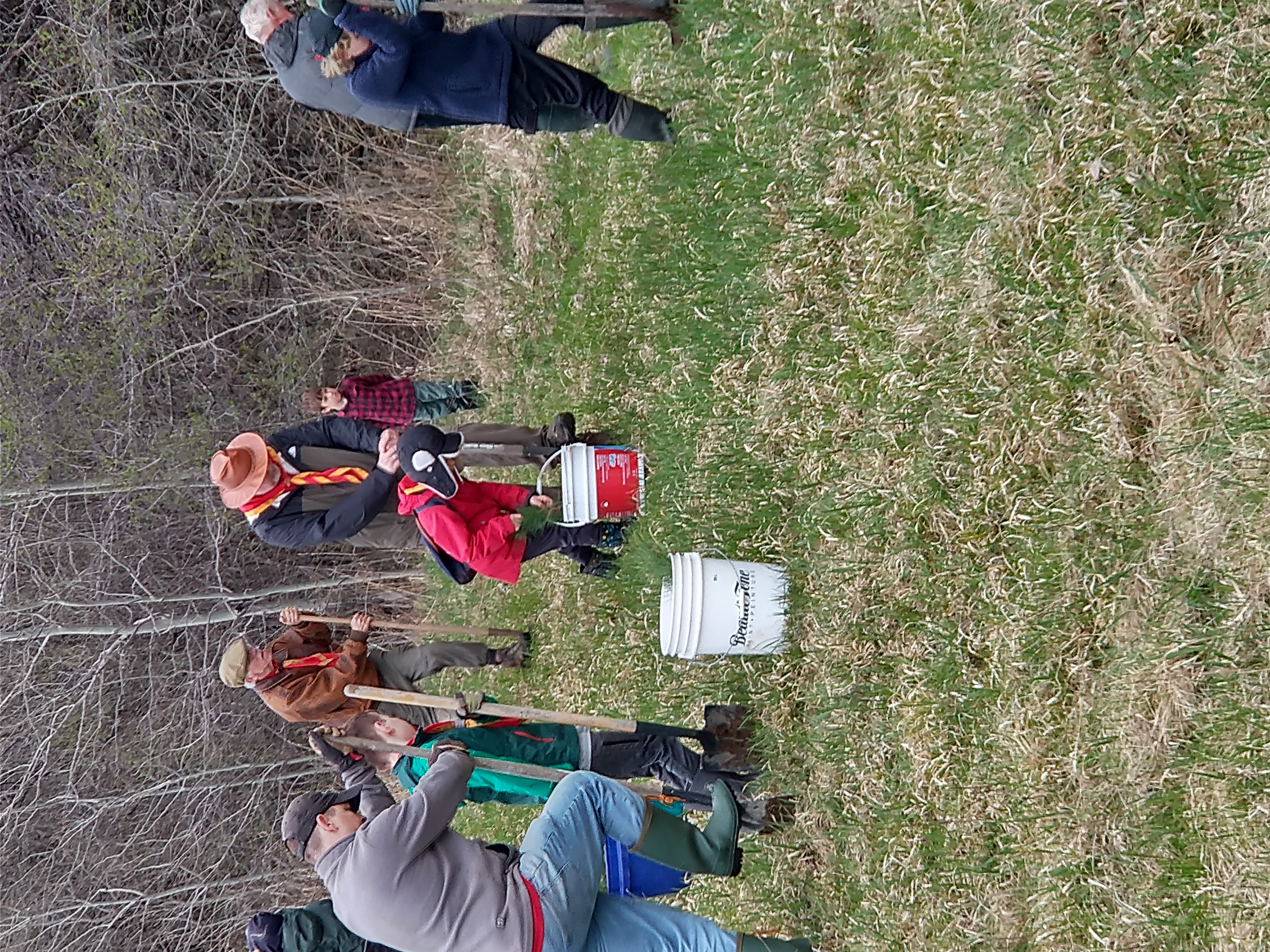 Scouts planting saplings at Code Road Landfill
