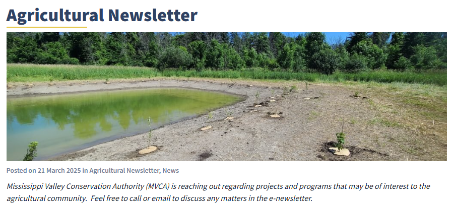 Newsletter_March_2025.jpeg