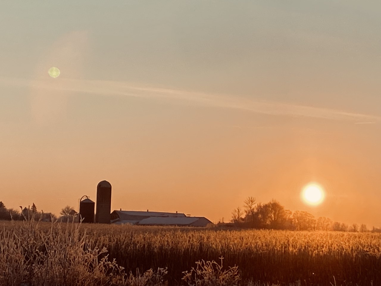 Wheeler Code Rd Farm Sunrise Submission 1