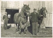 Balderson P.M. Campbell with Horses