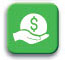 icon government