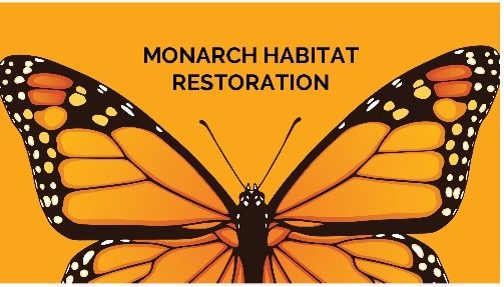 monarch