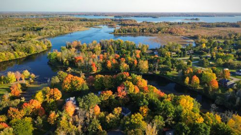 Official Plan Review